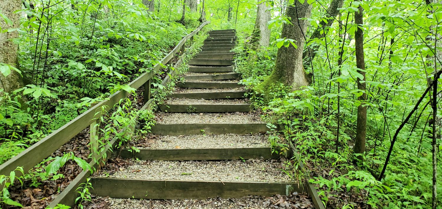 Fox Ridge State Park 